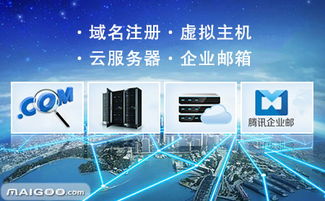 數(shù)字引擎虛擬主機(jī)簡(jiǎn)介 數(shù)字引擎云服務(wù)器 數(shù)字引擎域名注冊(cè) 十大品牌網(wǎng)